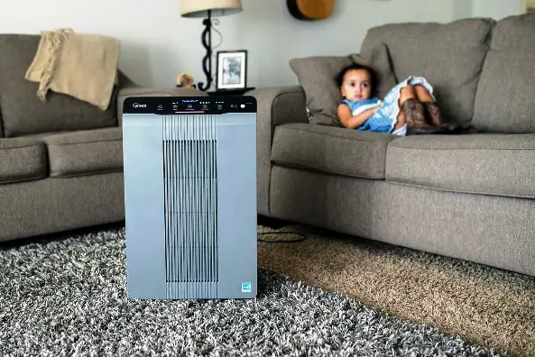 Image of humidifier vs air purifier