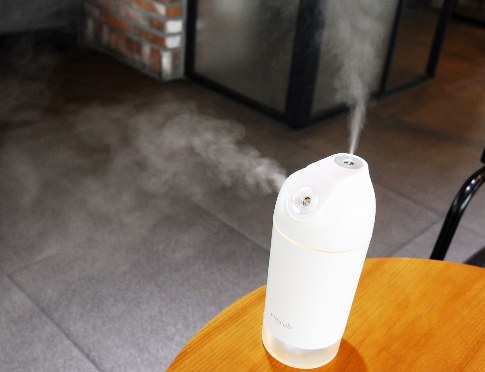 Image of humidifier for nasal congestion