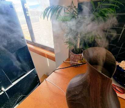 When should I use a humidifier for my plants