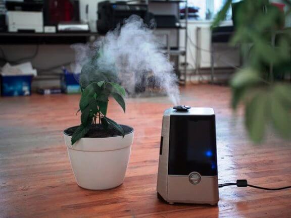 Image of benefits of humidifier in summer