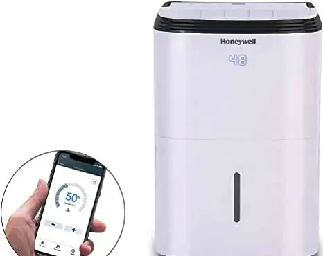 Image of Which is better dehumidifier or humidifier