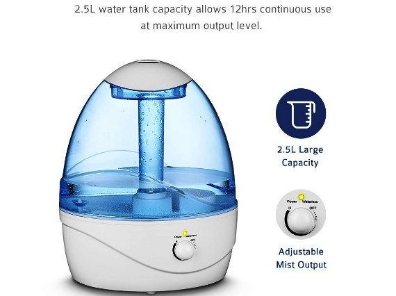Image of best humidifier for plants