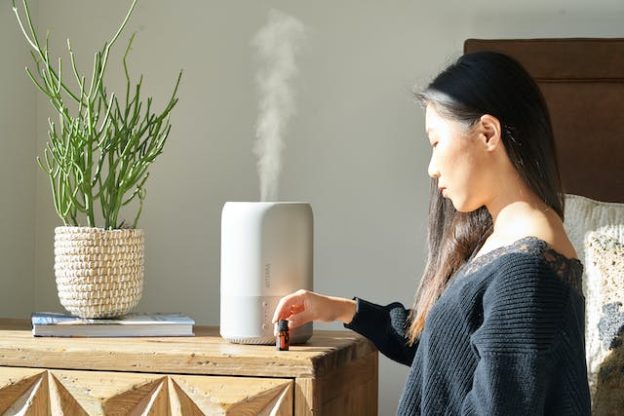 Why is a humidifier for plants important