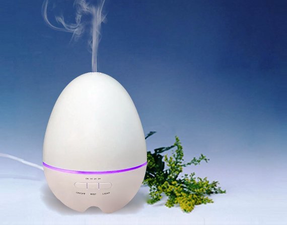 Image of difference between humidifier and diffuser