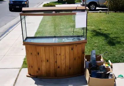 Image of can a fish tank increase humidity