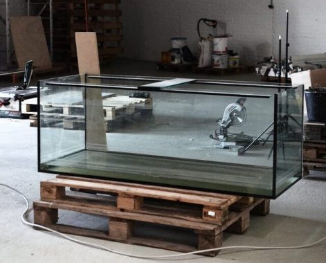 Image of do you need humidifier in fish tank room