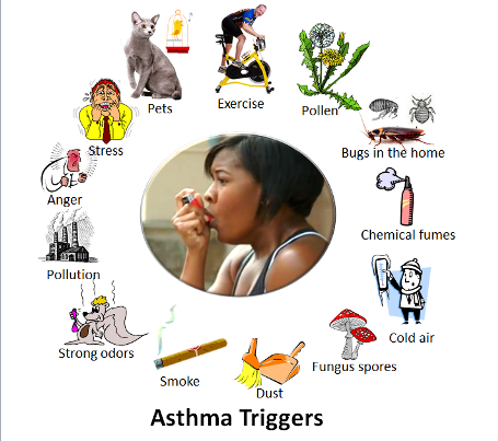 the common triggers for asthma