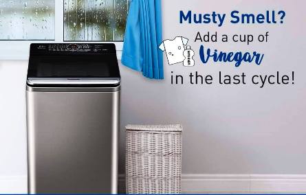 How an air purifier helps with musty smell
