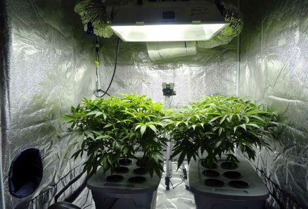 Image of how to control humidity in grow tent