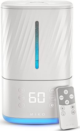 Image of humidifier with filter for mineral water