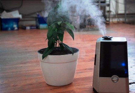 How much mist should come out of a humidifier