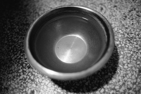 Image of Can a bowl of water act as a humidifier