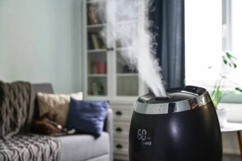 Image of best humidifier for sinus problems