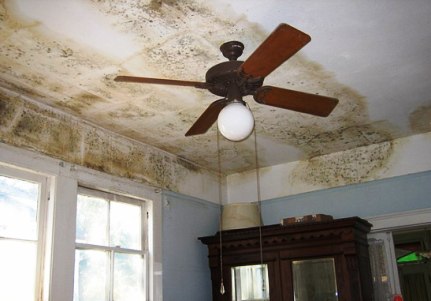 Image of Whole house humidifier dangers 