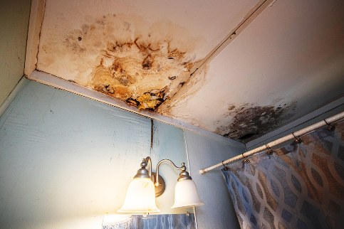 is black mold on ceiling dangerous