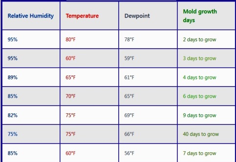 mold growth humidity chart