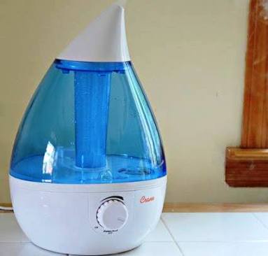 how to clean a Crane cool mist humidifier