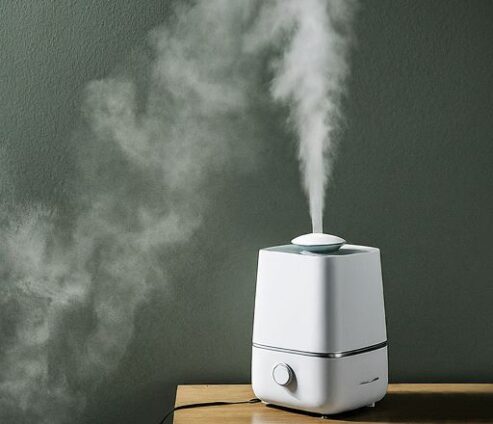 How to get the musty smell out of your humidifier