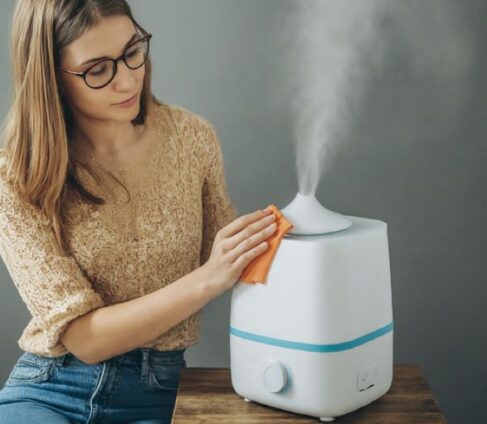 how to clean a humidifier with soap and water